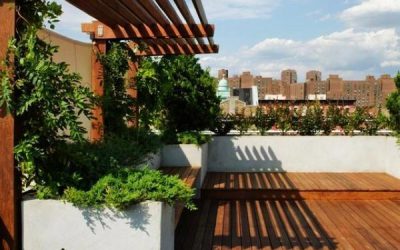 成都屋顶花园设计参考案例-美国：曼哈顿东村屋顶花园