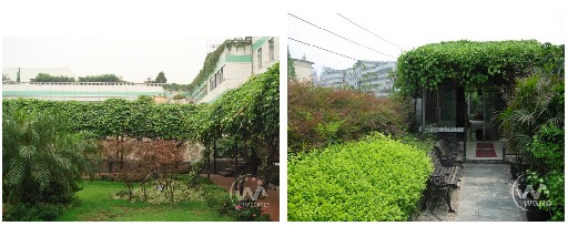成都市屋顶绿化现状-成都青望园林景观设计公司