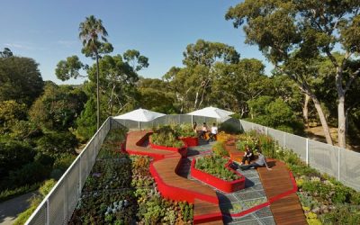 如何打造一个低造价又环保的屋顶花园-Burnley屋顶花园