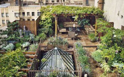 屋顶花园里栽种的植物高度有限制吗？