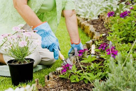 私家花园养护之：植物维护打理全年计划表_成都花园装修设计