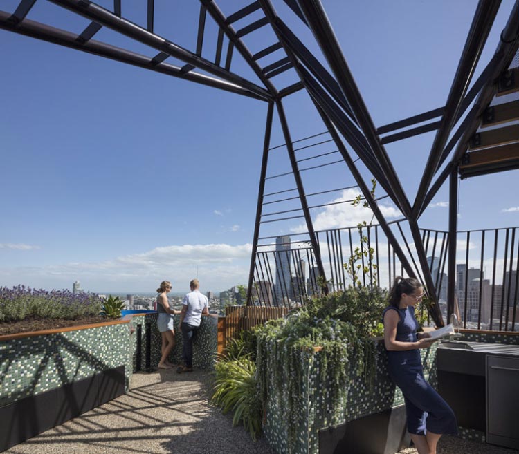澳大利亚Phoenix屋顶花园实景图-成都青望园林景观设计公司（2）