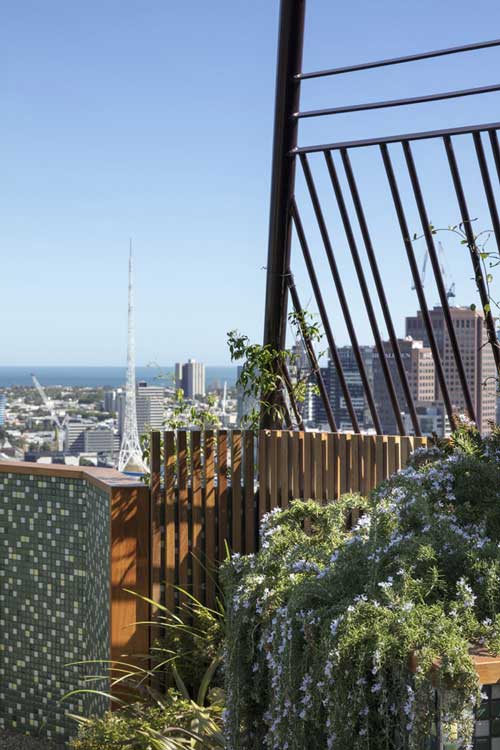 澳大利亚Phoenix屋顶花园实景图-成都青望园林景观设计公司（4）