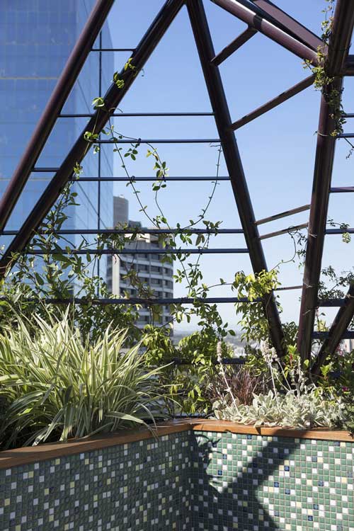 澳大利亚Phoenix屋顶花园实景图-成都青望园林景观设计公司（7）