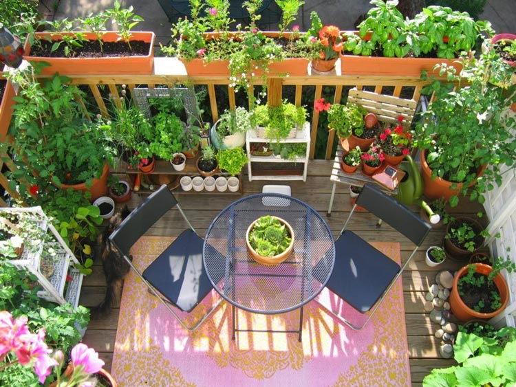 小阳台怎么做个小花园_阳台花园装修实景图片（1）-成都青望园林景观设计公司
