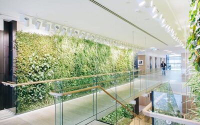 室内大型仿真植物墙设计定制安装，室内植物墙实景图片案例