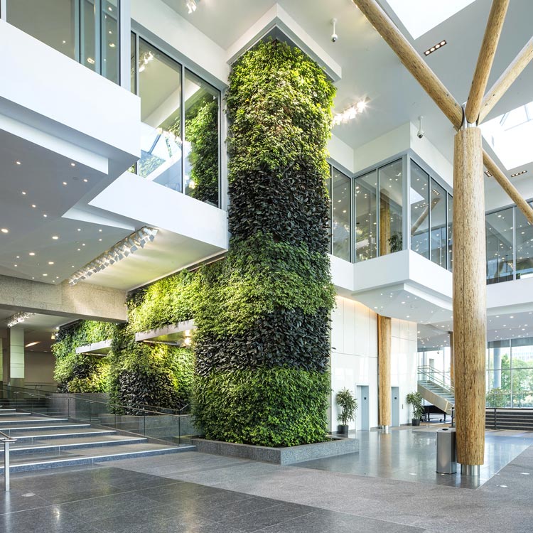 室内大型仿真植物墙设计定制安装，室内植物墙实景图片案例-成都青望园林景观设计公司