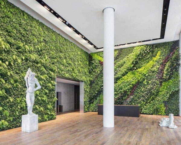 室内大型仿真植物墙设计定制安装，室内植物墙实景图片案例-成都青望园林景观设计公司