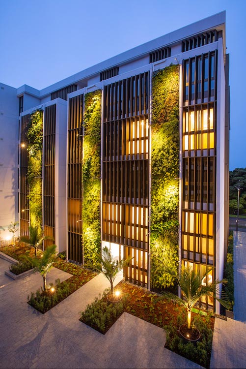 成都室外大型仿真植物墙定制_室外仿真植物墙实景图片-成都青望园林景观设计公司