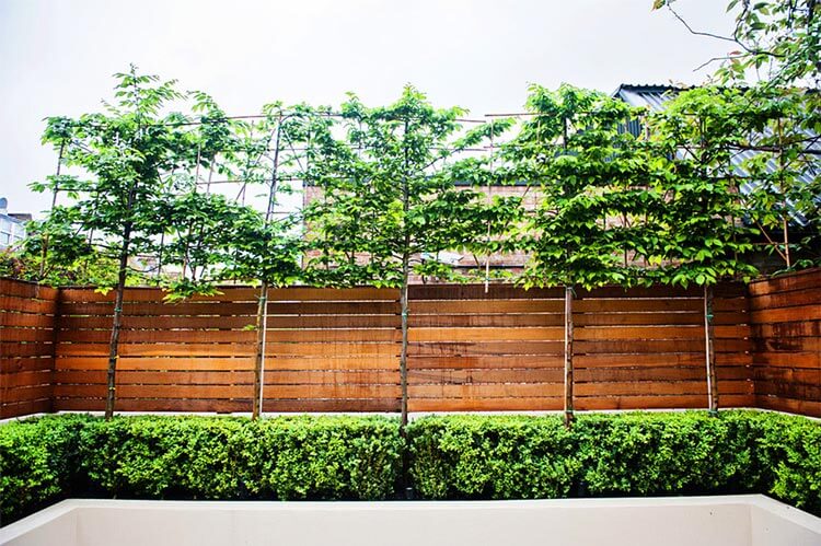20-30平米花园洋房一楼院子设计实景案例图片-成都青望园林景观设计公司