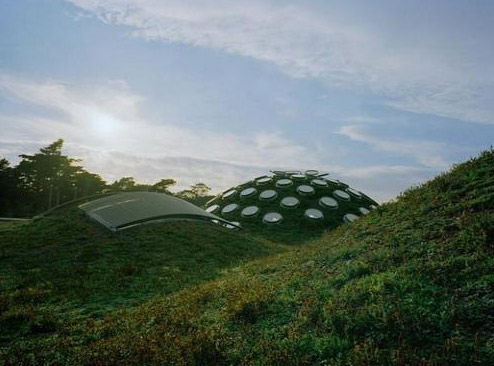 新加利福尼亚科学院大楼屋顶花园-成都青望园林景观设计公司