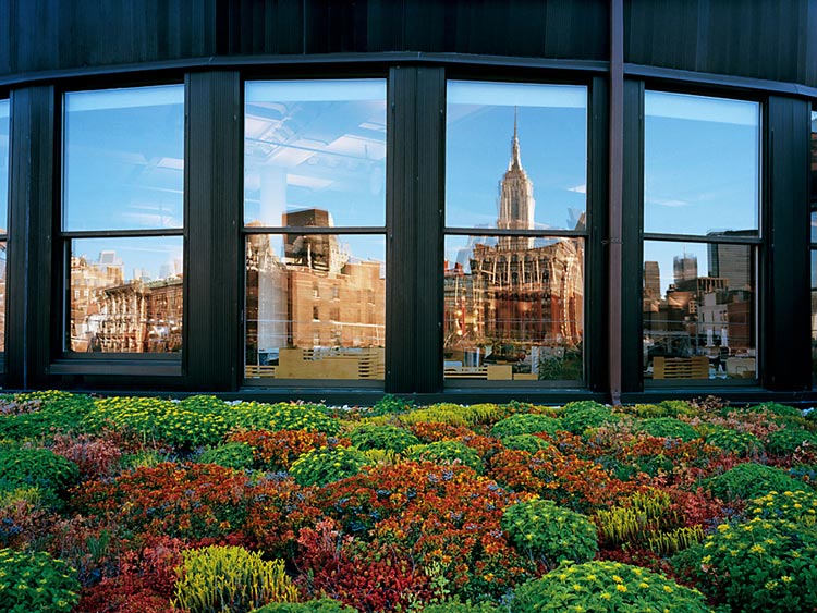 纽约帝国大厦屋顶花园-成都青望园林景观设计公司