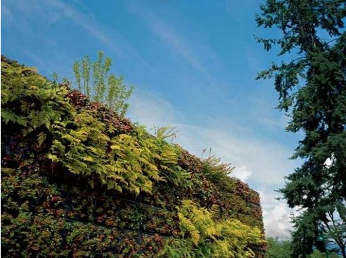 温哥华水族馆屋顶花园-成都青望园林景观设计公司