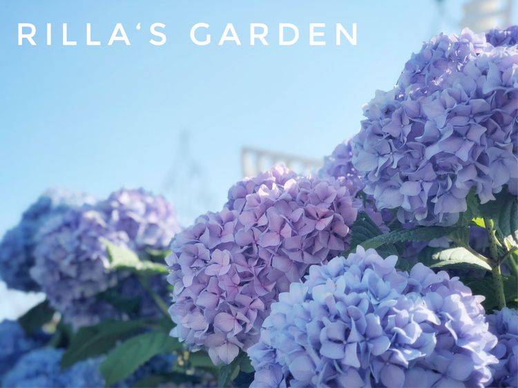 网友家13平米露台空中花园设计案例实景图片分享，属于自己的秘密花园-青望私家花园设计-1