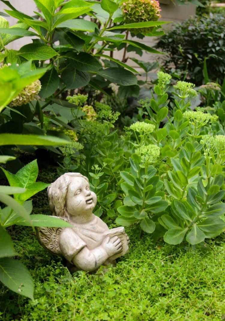 500平米别墅花园绿化设计实景图片案例分享-青望私家花园设计-1