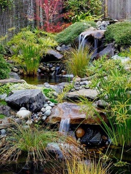 日式花园小庭院设计实景图-青望私家花园设计