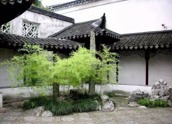 日式庭院和中式庭院有什么区别，哪个好-中式庭院？-青望私家花园设计-1