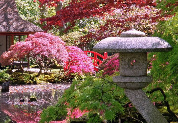 日式庭院和中式庭院有什么区别，哪个好？-日式庭院-青望私家花园设计-1
