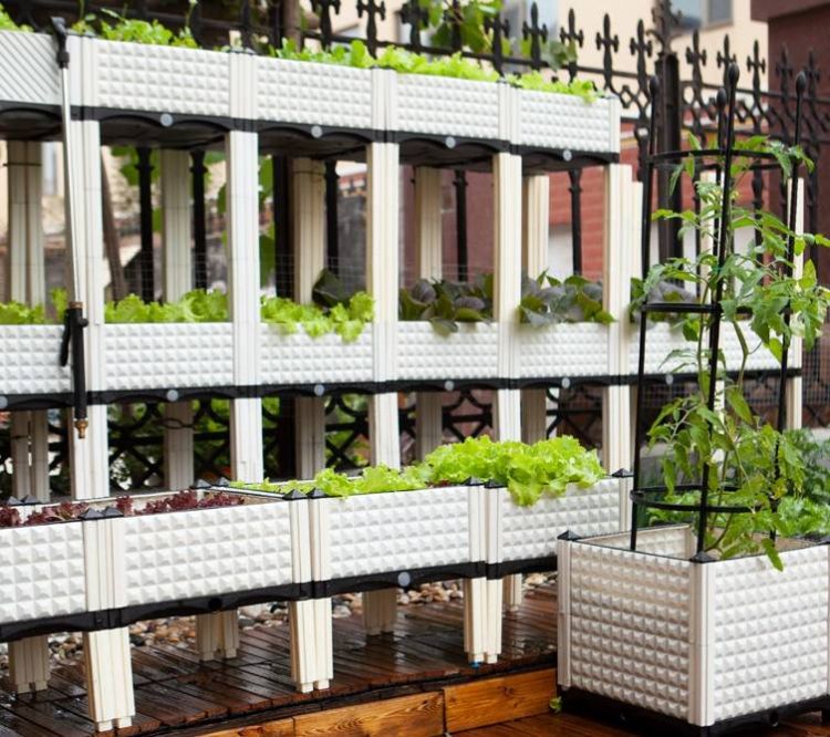 屋顶花园种菜怎么设计规划合理-青望私家花园设计-1