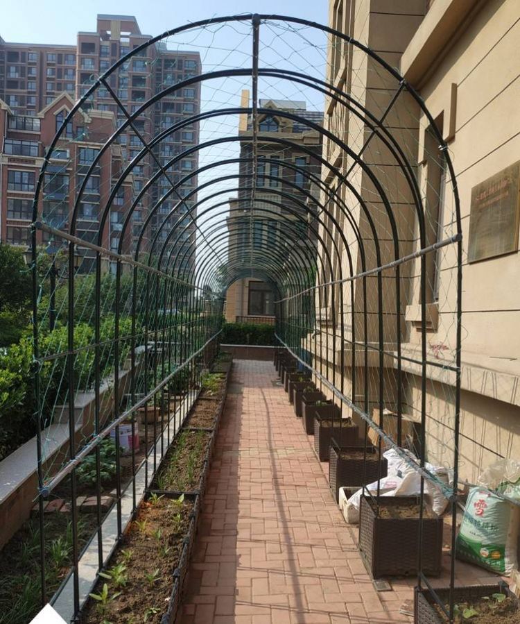 屋顶花园种菜怎么设计规划合理-青望私家花园设计-1