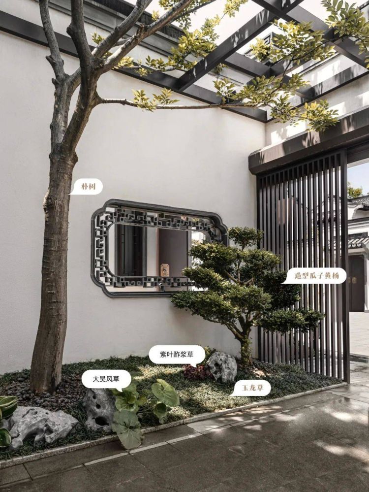 新中式庭院景观植物搭配设计图表平面分析图-成都青望园林景观设计公司-1