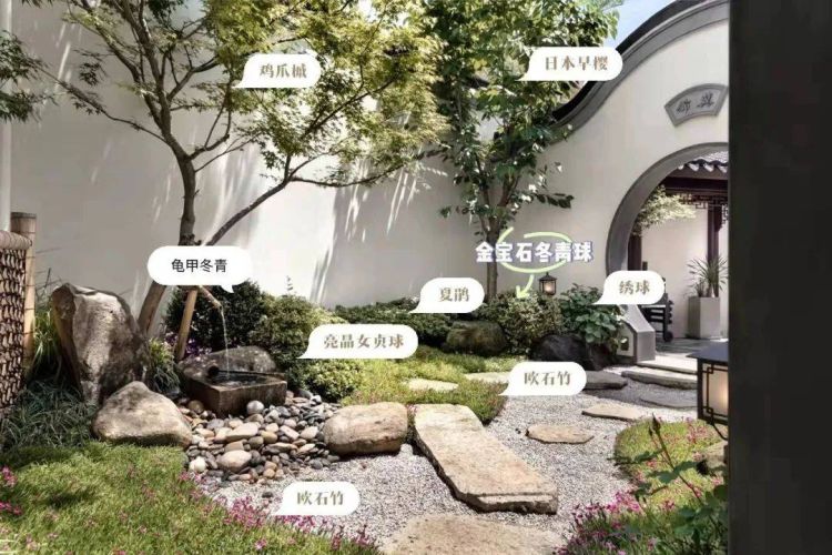 新中式庭院景观植物搭配设计图表平面分析图-新葡萄8883登录页面-1