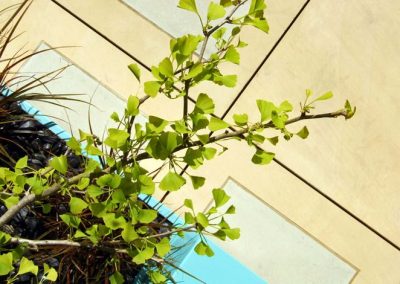 成都北城天街20㎡阳台花园设计装修实景图-成都亚博yb登录世界杯景观设计公司