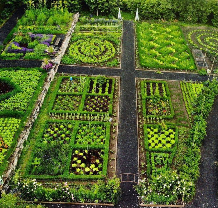 在花园里种菜_花园式菜园蔬菜植物搭配-成都青望园林景观设计公司-1