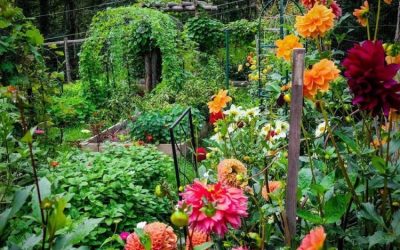 想在花园里种菜，23个花园式菜园案例和蔬菜植物搭配清单值得收藏