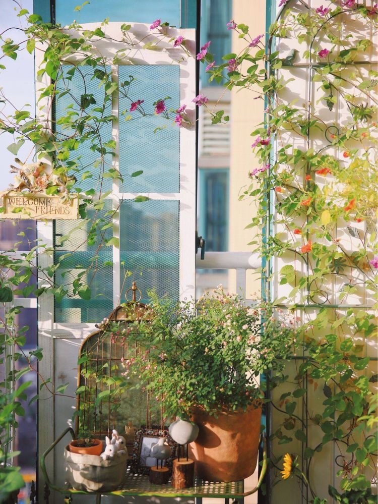 5平米阳台改造成小花园，5㎡阳台花园植物搭配-成都青望园林景观设计公司-1