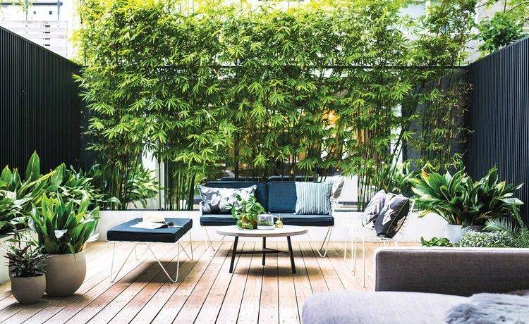 在别墅花园里可以种竹子吗效果怎么样-成都青望园林景观设计公司-1
