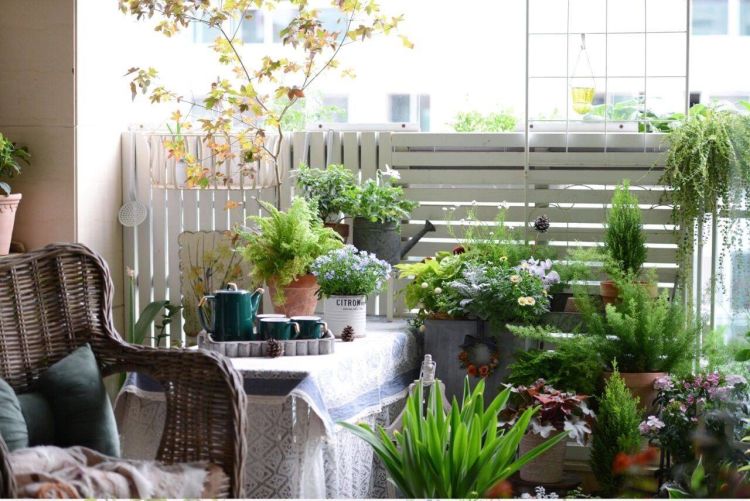 阳台怎样改造成小花园，阳台改造成小花园-成都青望园林景观设计公司-1