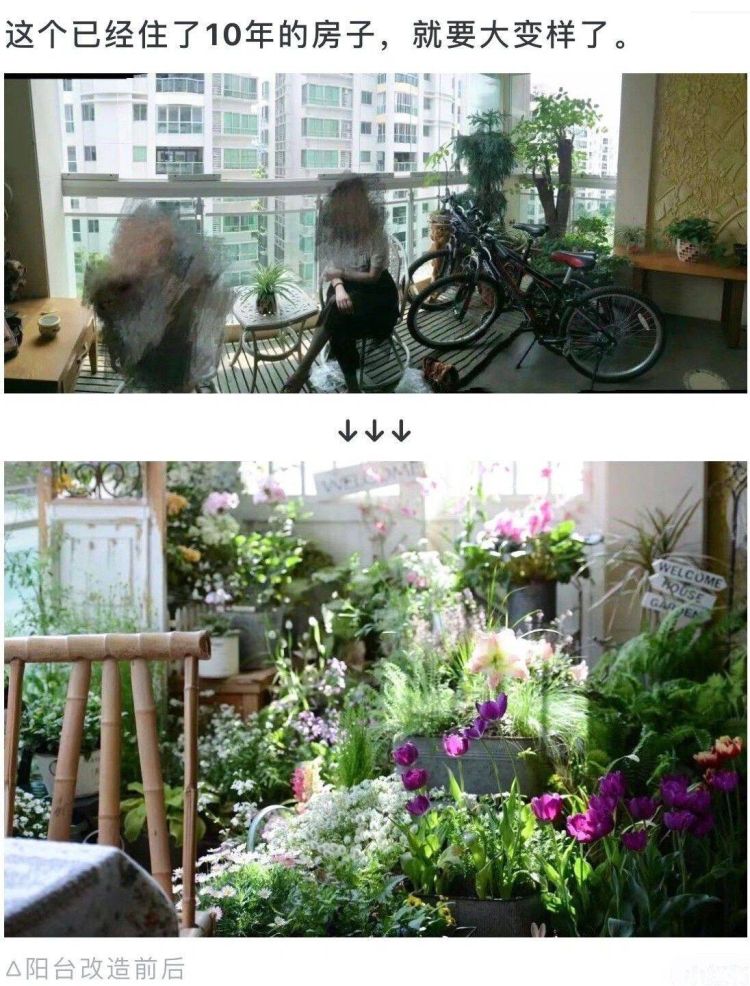 阳台怎样改造成小花园，阳台改造成小花园-成都青望园林景观设计公司-1