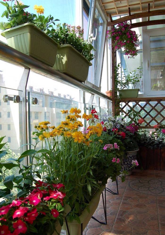 阳台装饰小花园改造实景案例图片-成都青望园林景观设计公司-1
