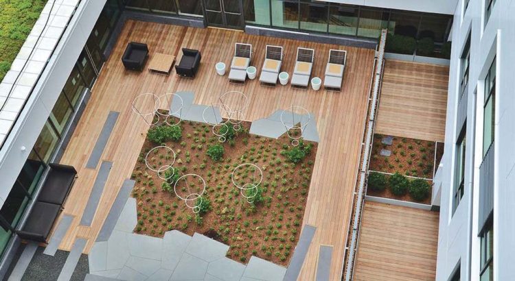 50平屋顶花园设计装修实景图片-成都青望园林景观设计公司-1