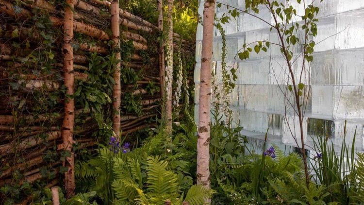2022年切尔西花展花园设计作品实景图片案例-成都青望园林景观设计公司-1