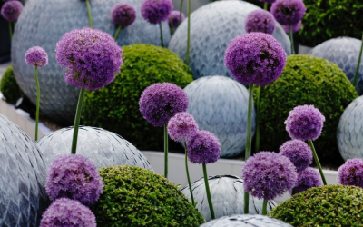 2022年切爾西花展30款花園設計作品實景案例圖片欣賞