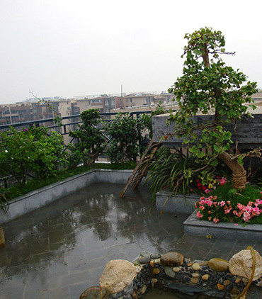 成都屋顶花园设计装修_楼顶搭建_成都碧曼汀中式屋顶花园搭建案例-成都青望园林景观设计公司