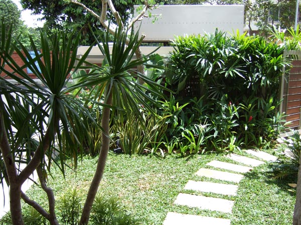热带风私家别墅花园设计实景案例-成都青望园林景观设计