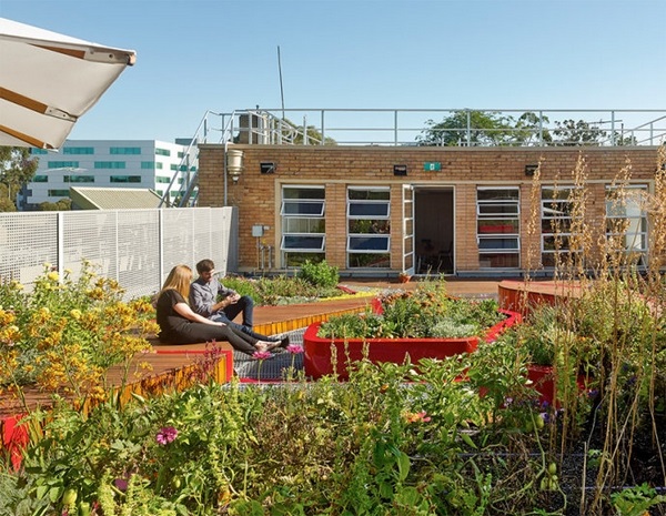 低造价又环保的屋顶花园-Burnley屋顶花园-成都青望园林景观设计公司