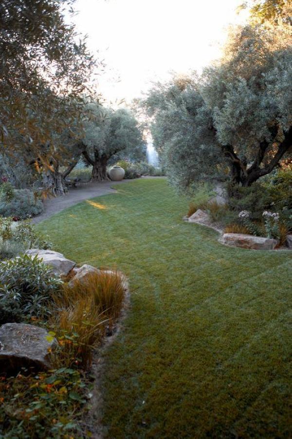 加拿大：Olive花园-成都青望园林景观设计公司