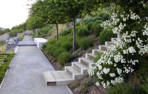 经典花园设计案例—Charance露台花园-成都青望园林景观设计公司