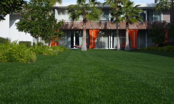 如地毯的私家庭院草坪-成都青望园林景观设计公司