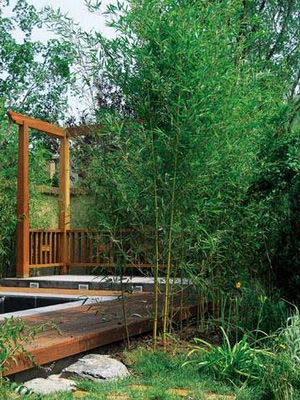 竹林和景墙让您静享一片闲适-成都青望园林景观设计公司