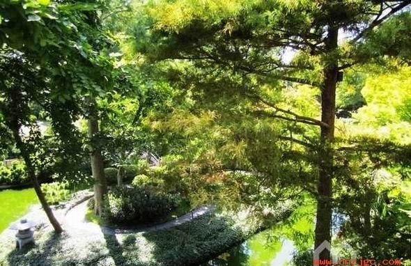 独特细腻的日式花园设计-成都青望园林景观设计公司