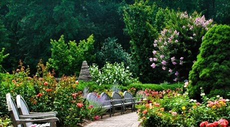 为你的私家花园选择合适的玫瑰花_别墅花园私家庭院如何选择玫瑰花
