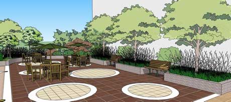 屋顶上能栽乔木吗_屋顶花园上适合栽种哪些乔木-成都青望园林景观设计公司