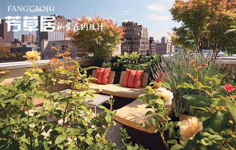 盆景盆栽式屋顶花园-成都青望园林景观设计公司