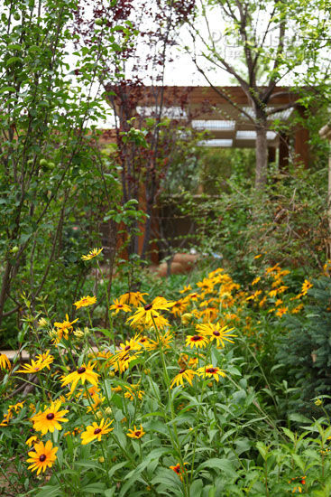 雨后格拉斯 浪漫法式花园打造技巧_花园设计-成都青望园林景观设计公司