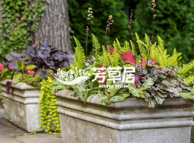美式别墅花园设计实景图-成都青望园林景观设计公司